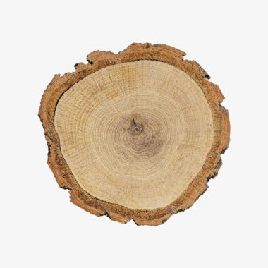 Cut Wood